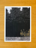 Shadow of Giants - PRINT 12” x 16”