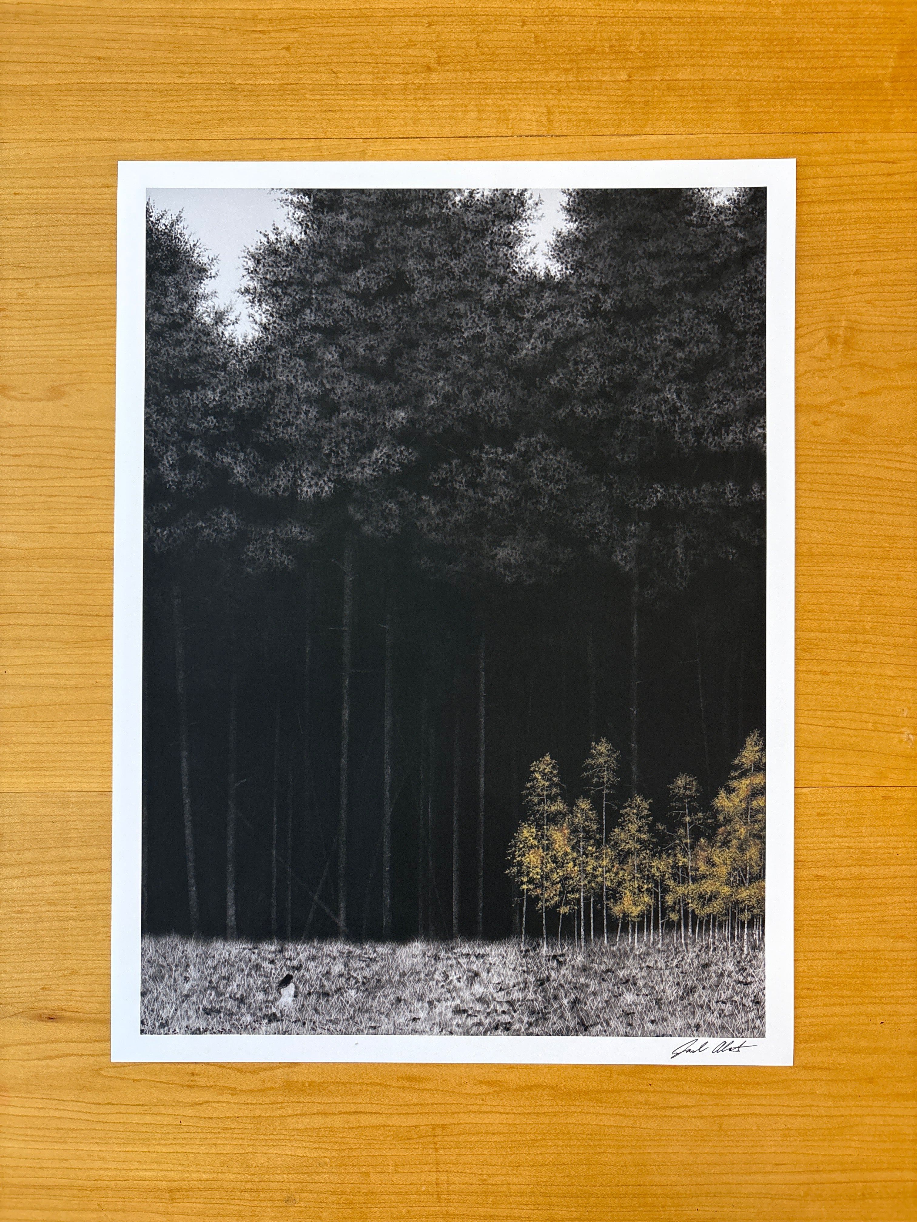 Shadow of Giants - PRINT 12” x 16”