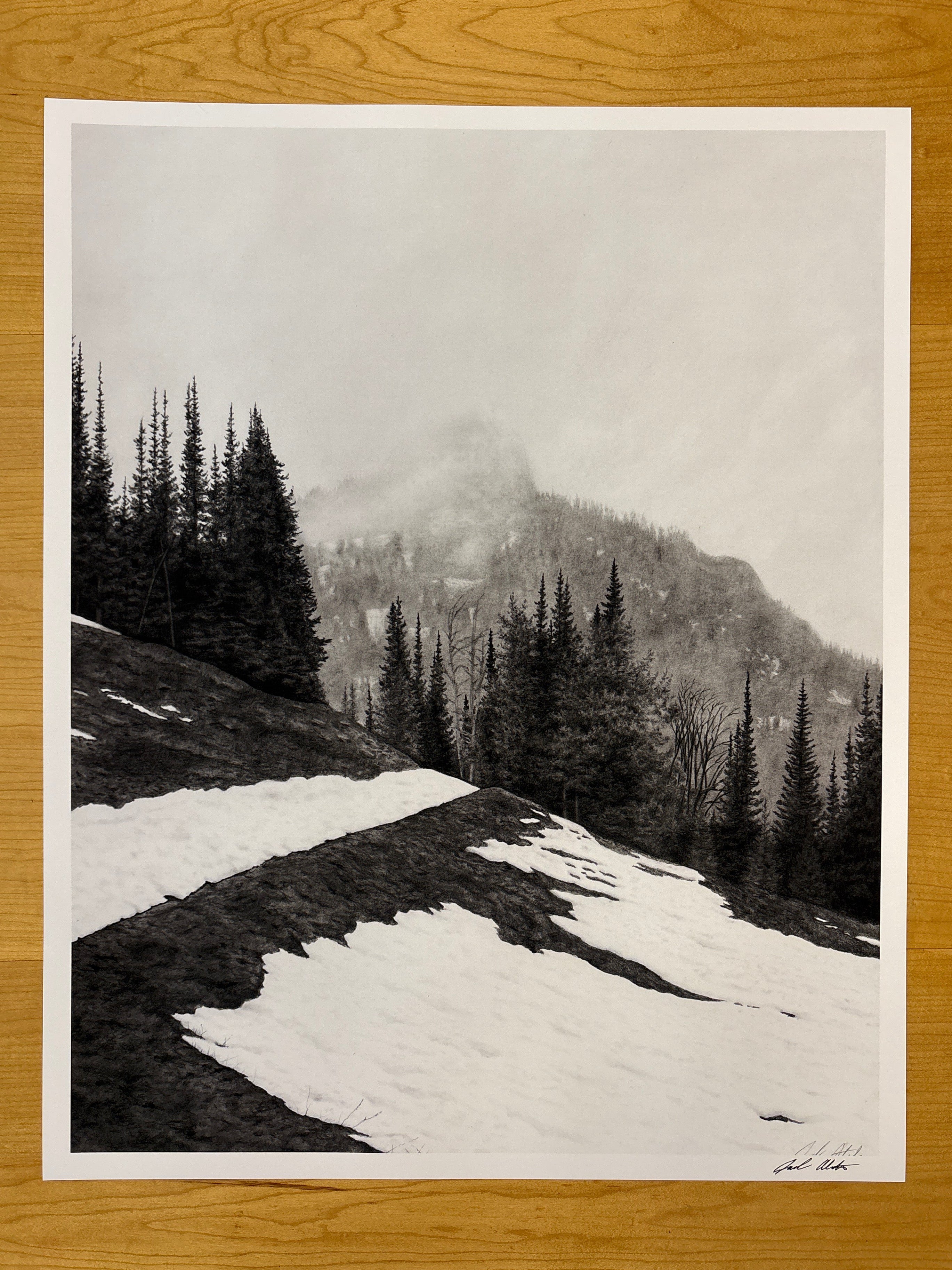 Mt. Washburn Thaw - PRINT 16” x 20”