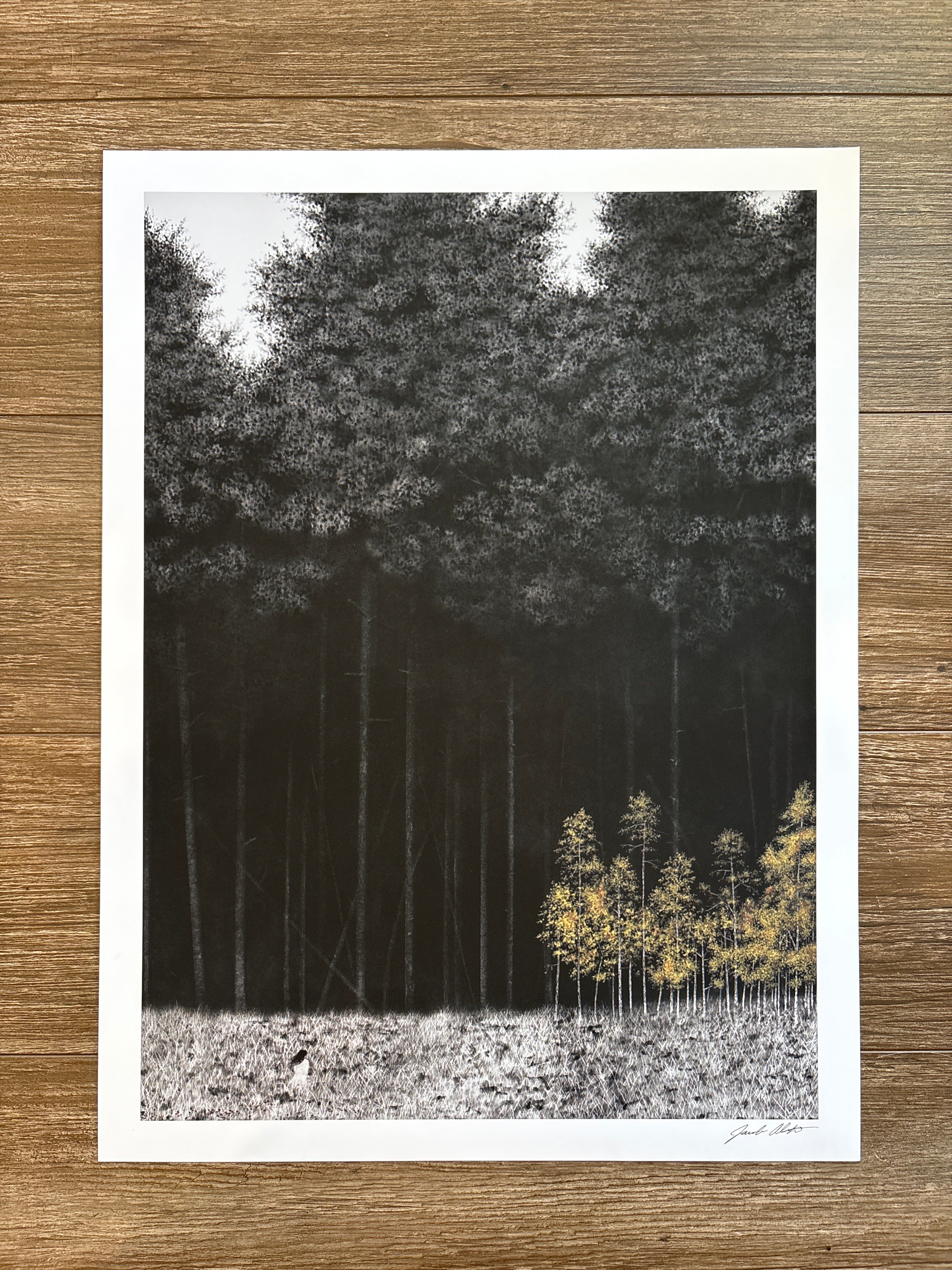 Shadow of Giants - PRINT 18” x 24”