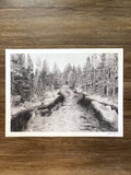 Firehole River - PRINT 18” x 24”