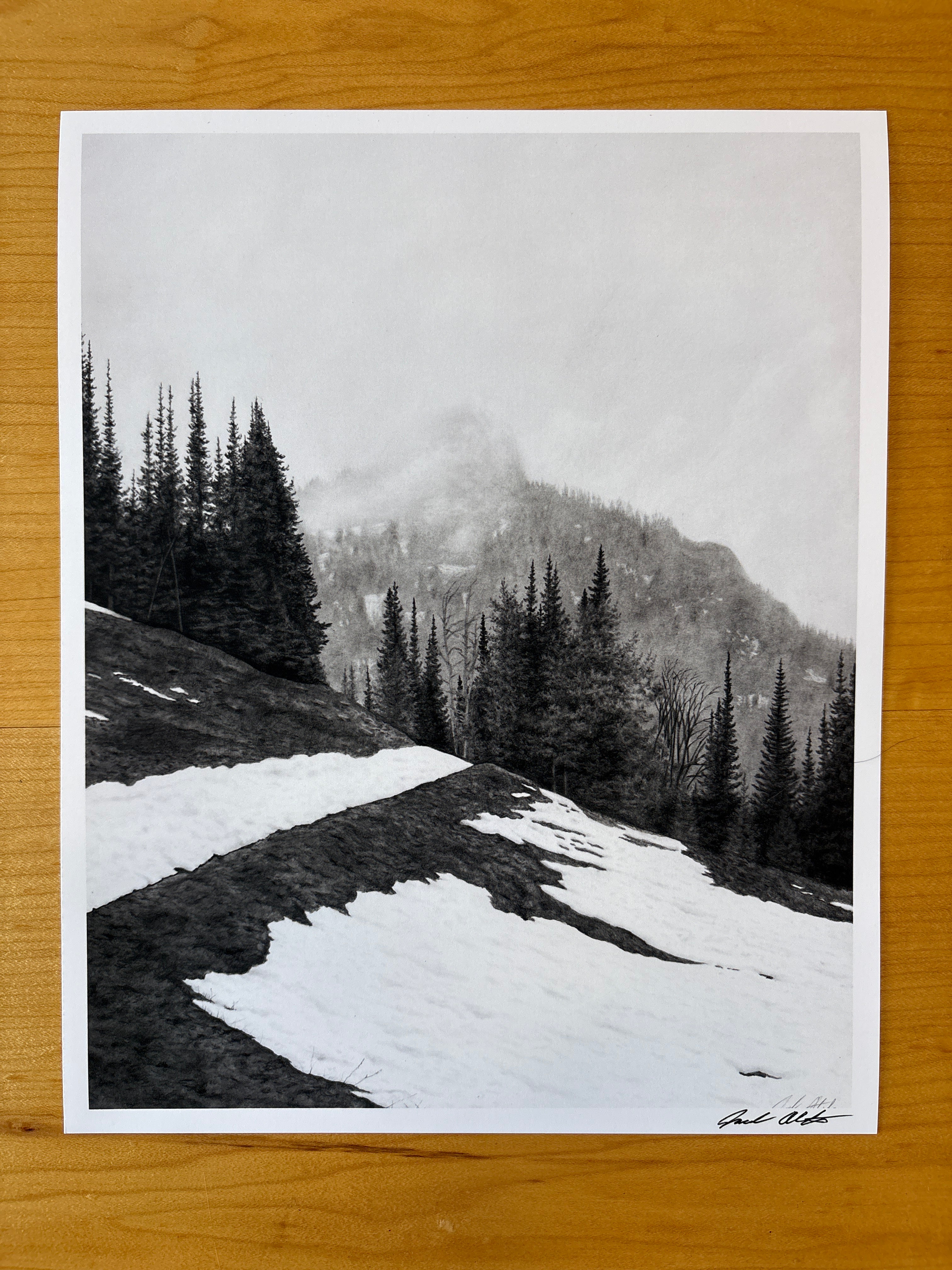 Mt. Washburn Thaw - PRINT 8” x 10”